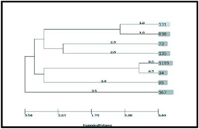 Molecular epidemiology, antibiotic resistance profile and frequency of integron 1 and 2 in adherent-invasive Escherichia coli isolates of colorectal cancer patients